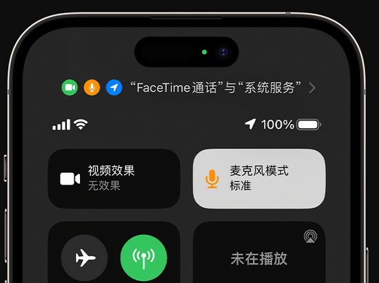 岳阳楼苹果授权维修网点分享iPhone在通话时让你的声音更清晰 