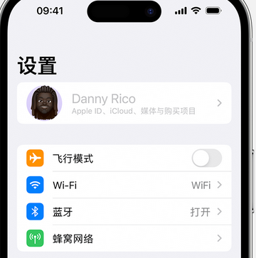 岳阳楼appleID维修服务iPhone设置中Apple ID显示为灰色无法使用 