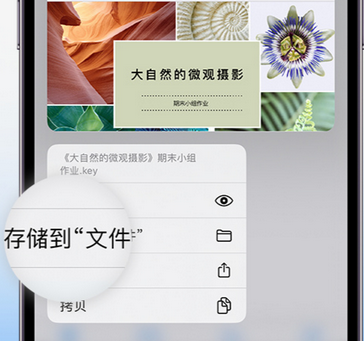 岳阳楼apple维修中心分享iPhone文件应用中存储和找到下载文件