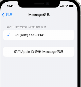 岳阳楼apple维修iPhone上无法正常发送iMessage信息 