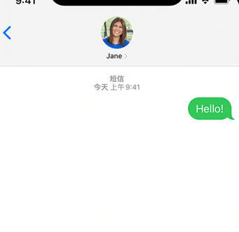 岳阳楼apple维修iPhone上无法正常发送iMessage信息