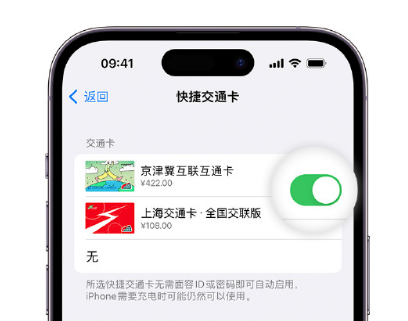 岳阳楼apple维修点分享iPhone上更换Apple Pay快捷交通卡手绘卡面 