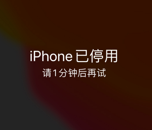 岳阳楼苹果手机维修分享:iPhone 显示“不可用”或“已停用”怎么办？还能保留数据吗？ 