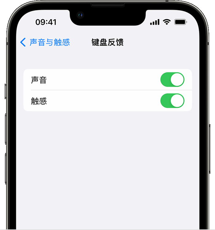 岳阳楼苹果14维修店分享如何在 iPhone 14 机型中使用触感键盘 