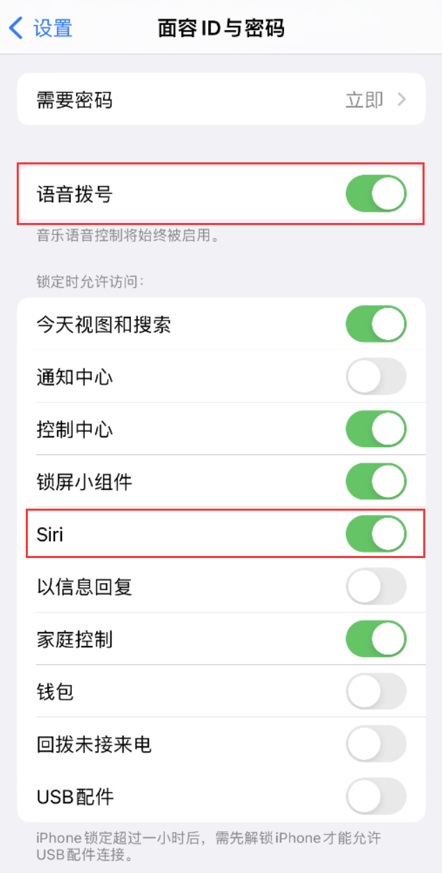 岳阳楼苹果维修网点分享不解锁 iPhone 的情况下通过 Siri 拨打电话的方法 