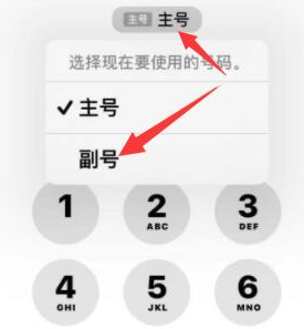 岳阳楼苹果14维修店分享iPhone 14 Pro Max使用副卡打电话的方法 