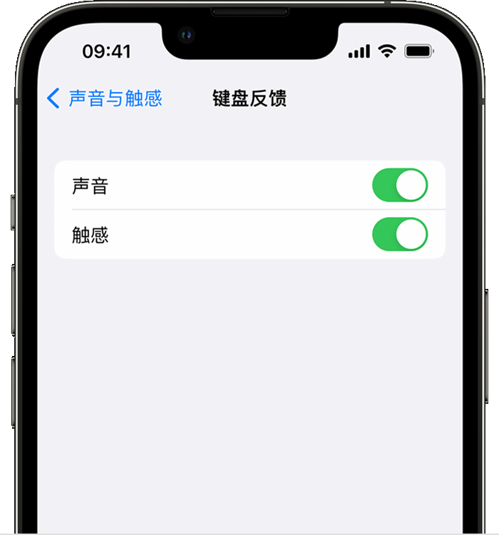 岳阳楼苹果14维修分享iPhone 14 系列机型如何开启键盘声音或触感反馈 