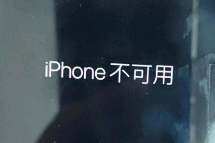 岳阳楼苹果服务网点分享锁屏界面显示“iPhone 不可用”如何解决 