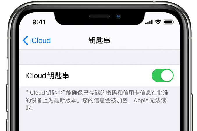 岳阳楼苹果手机维修分享在 iPhone 上开启 iCloud 钥匙串之后会储存哪些信息 