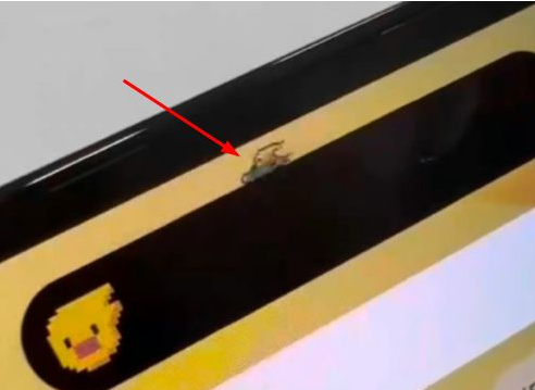 岳阳楼苹果14维修分享iPhone 14 Pro Max灵动岛怎么养宠物 