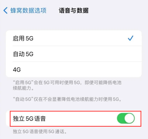 岳阳楼苹果14维修分享iPhone 14 Pro如何开启VoNR 