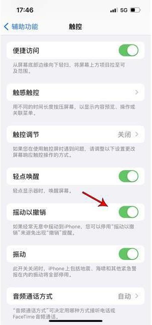 岳阳楼苹果手机维修分享iPhone手机如何设置摇一摇删除文字 