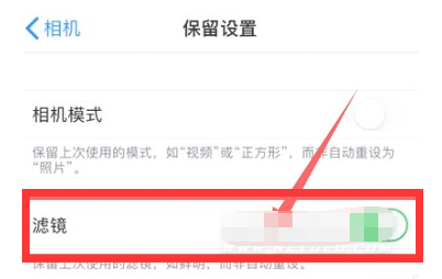 岳阳楼苹果13维修分享iPhone13拍照有绿点是怎么回事 