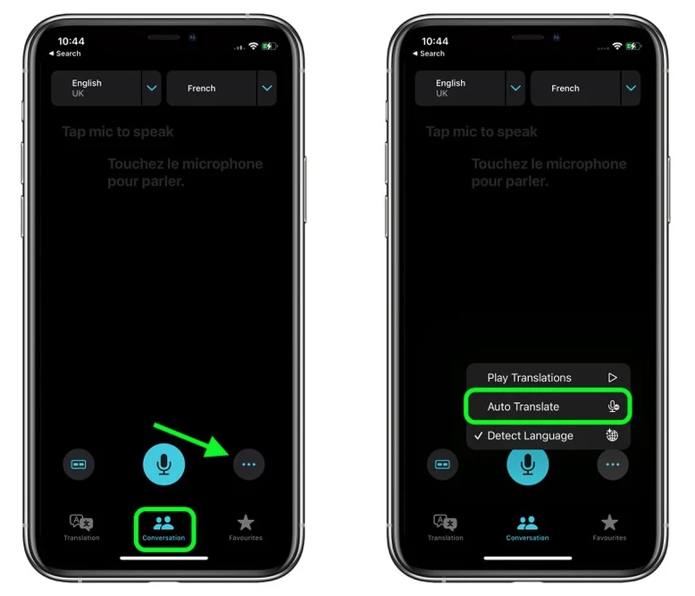 岳阳楼苹果手机维修分享iOS 15 “翻译” App 新改进 