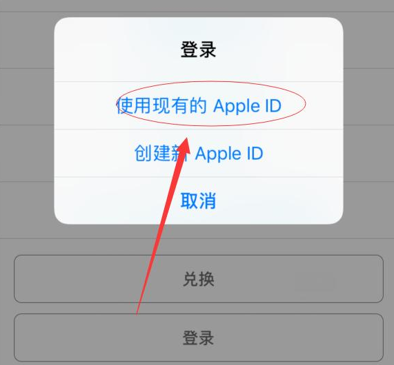 岳阳楼苹果手机维修分享两台iPhone设备可以同时登录一个Apple ID吗 