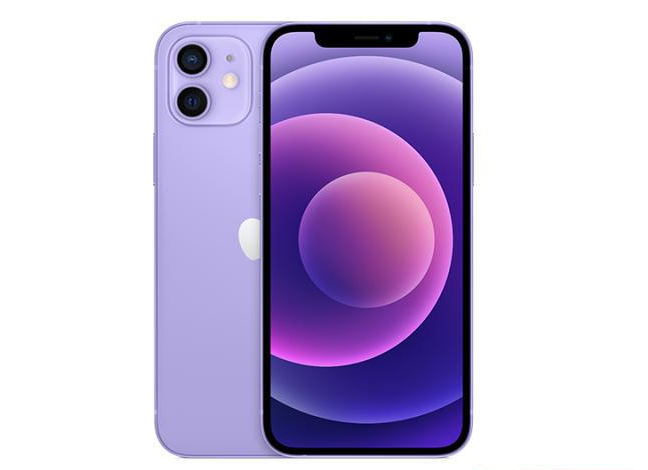 岳阳楼苹果手机维修分享现阶段要不要入手紫色版iPhone12 