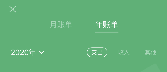 岳阳楼苹果手机维修分享如何在 iPhone 上查看支付宝和微信年支出账单 
