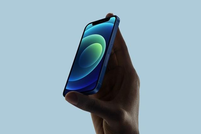 岳阳楼苹果手机维修分享iPhone 12 mini辐射很大吗 