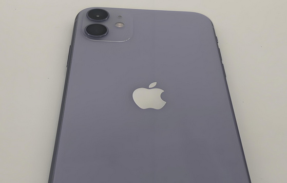岳阳楼苹果11系统维修分享iPhone11手机系统崩溃无法开机如何解决 
